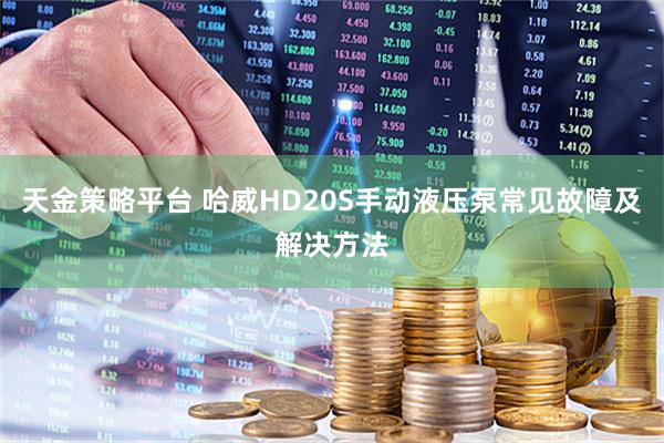 天金策略平台 哈威HD20S手动液压泵常见故障及解决方法