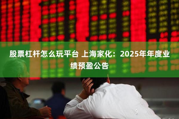 股票杠杆怎么玩平台 上海家化：2025年年度业绩预盈公告
