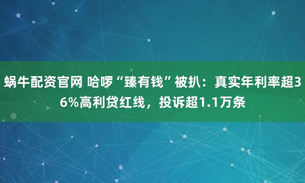 蜗牛配资官网 哈啰“臻有钱”被扒：真实年利率超36%高利贷红线，投诉超1.1万条