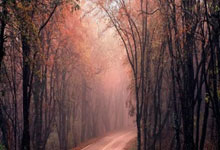 配资论坛线上:九上杠杆-市值蒸发5000亿美元后 特斯拉全面转型！马斯克豪赌机器人：五年内年产100万台